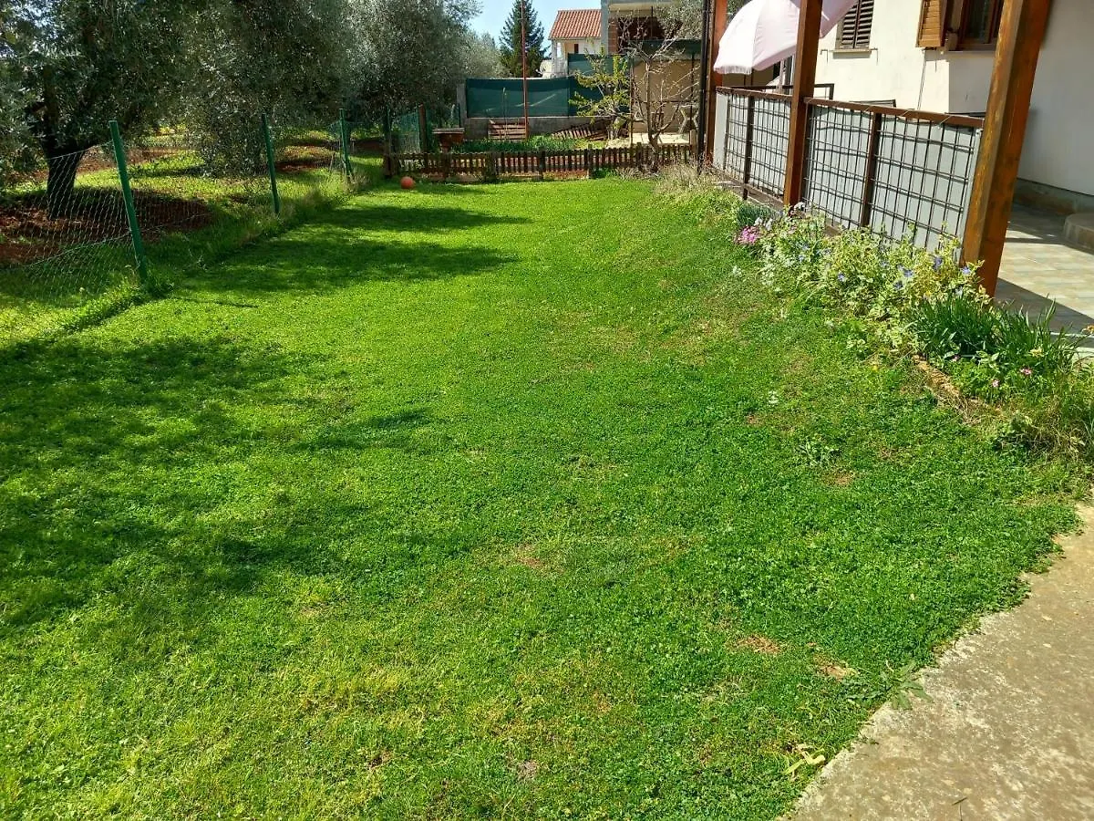 Apartments Iva Pula